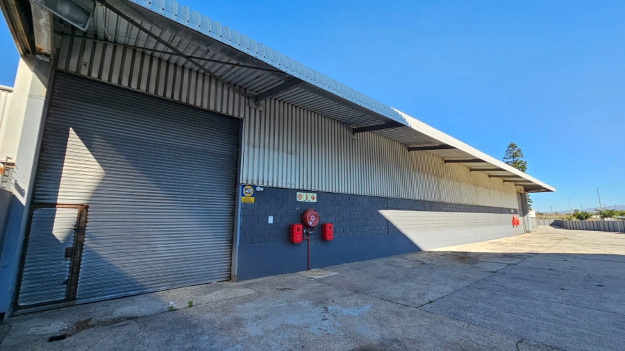 To Let commercial Property for Rent in Epping Industrial Western Cape